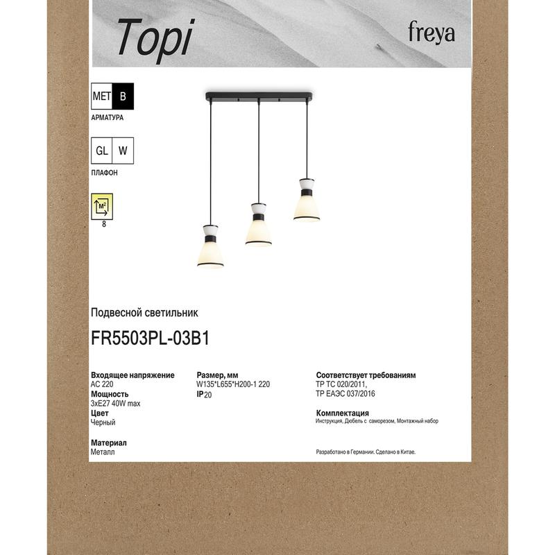 FR5503PL-03B1 изображение