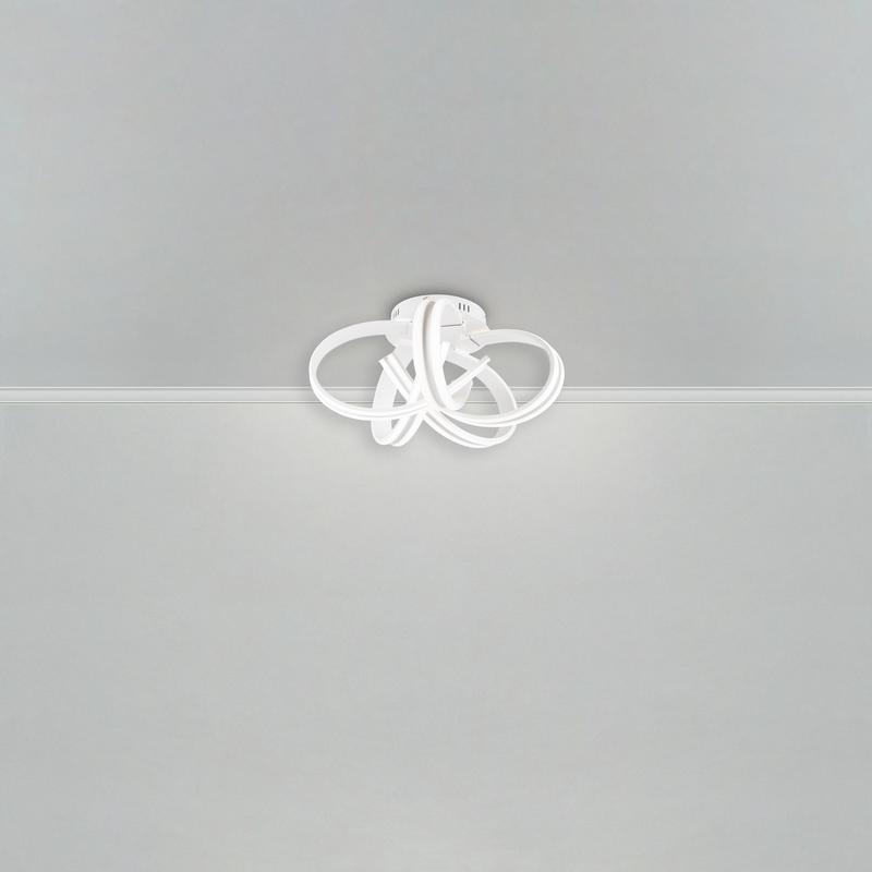 FR10024CL-L93W изображение