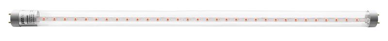 Лампа светодиодная PLED T8-900 PPG Agro 12Вт T8 линейная G13 CL для растений JazzWay 5037410