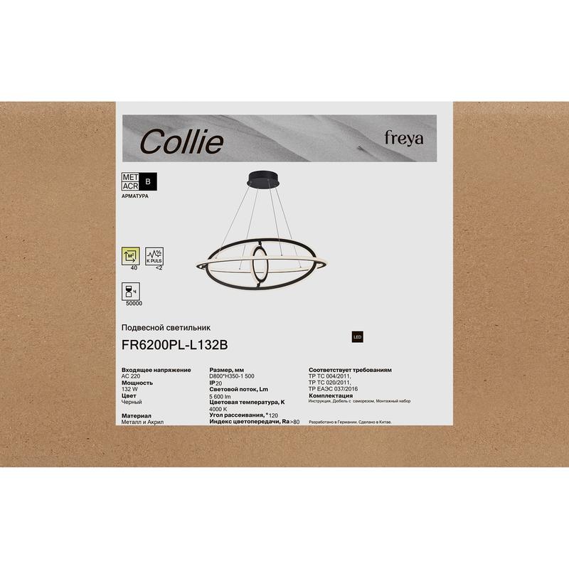 FR6200PL-L132B изображение